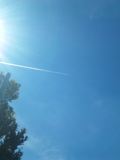 120825_100916.jpg