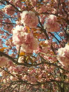 130413_163655.jpg
