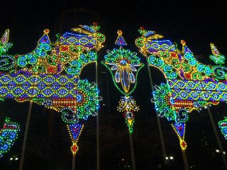131214_204600_ed.jpg